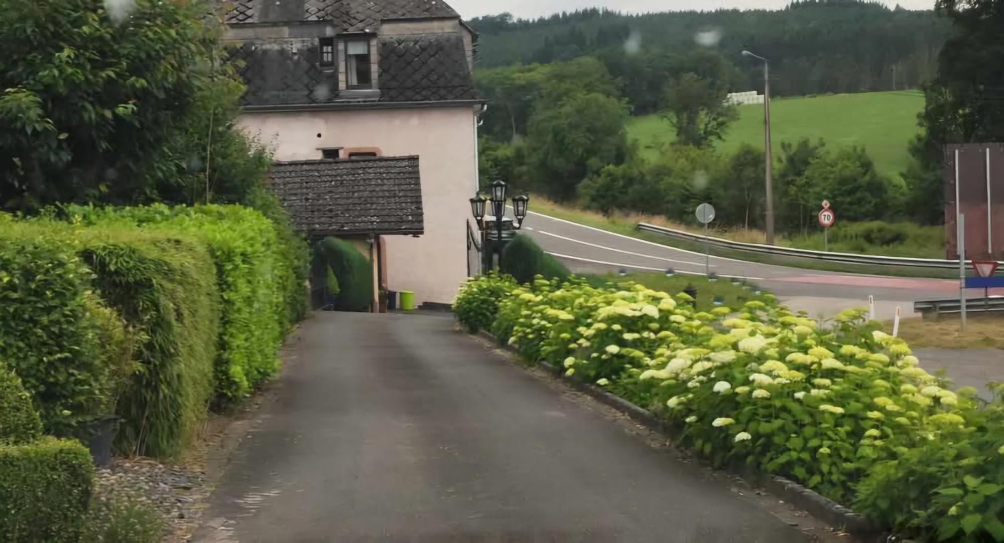Chalet Rose Villa Burg Reuland Exterior photo